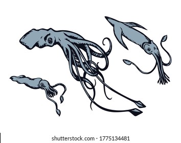 Big cute exotic red calamary monster on white paper backdrop. Freehand linear black ink pen hand drawn pictogram logo emblem design in retro art doodle etch print style. Closeup view aqua text space
