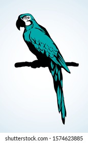 Big cute old fun vibrant blue pretty smart popinjay stand on light space for text. Bright green color hand drawn emblem sketchy in retro art scribble comic engrave style on paper. Closeup side view