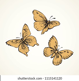 Big cute wild fly hexapod bug isolated on white backdrop. Freehand linear black ink hand drawn logo in art retro scribble design style pen on paper. View close up with space for text on light sky