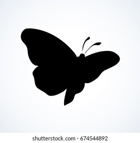 Big cute wild fly hexapod bug on white backdrop. Dark ink hand drawn logotype in art retro design print style. View close up with space for text on light sky