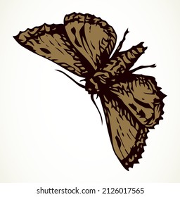 Big cute wild nocturne skull monarch element. Light sky text space backdrop. Freehand brown ink pen hand drawn little emblem pattern design. Retro art doodle engrave print style. Close up macro view