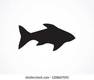 Big Cyprinus carpio isolated on white backdrop. Dark ink hand drawn logotype emblem sketchy in art retro contour etching print style. Closeup side view with space for text