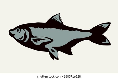 Big Cyprinus carpio pet swim on white paper text space. Outline black ink hand drawn small raw diet bass ruff logo pictogram emblem design menu in retro art doodle engrave print style. Close up view