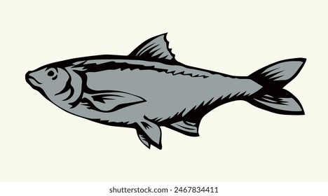 Big Cyprinus carpio pet swim on white paper text space. Outline black ink hand drawn small raw diet bass ruff logo pictogram emblem design menu in retro art doodle engrave print style. Close up view