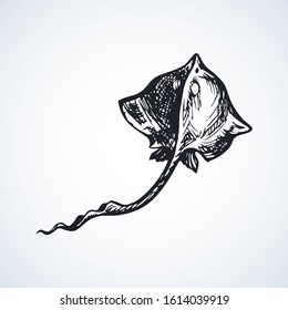 Big danger flat Electric devil shark on white backdrop. Outline dark ink hand drawn zoo pet pictogram logotype emblem sketchy in art vintage engrave doodle style pen on paper space for text. Top view