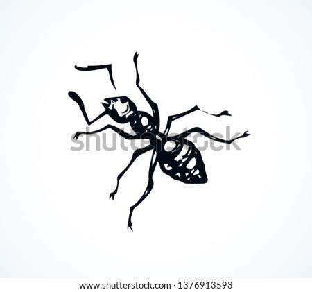 Big dark eusocial Formicidae. Linear ink drawn emblem logotype sketchy in scribble retro art eyching print style pen on paper. Close-up detail micro view with space for text on light backdrop
