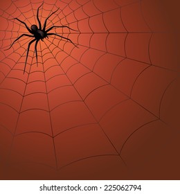 Big dark spider on the web, hand drawing Halloween vector illustration