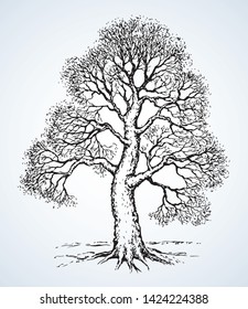 Big deciduous oaktree stem picture on space for text on sky backdrop. Freehand outline dark black ink pen hand drawn logo icon sign design sketchy in artistic retro doodle style on light paper card