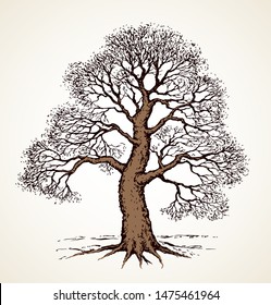 Big deciduous oaktree stem picture on space for text on sky backdrop. Freehand outline dark black ink pen hand drawn logo icon sign design sketchy in artistic retro doodle style on light paper card