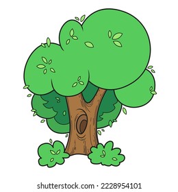 Big deciduous tree color variation for coloring page isolated on white background