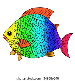 A big decorative fantastic fish with rainbow  scales and red fins. Vector illustration.