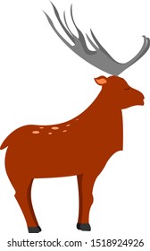 Big deer, illustration, vector on white background.