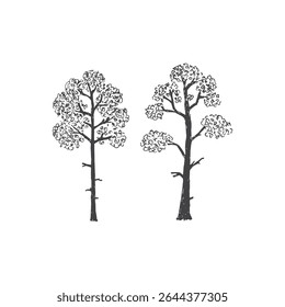Big detailed Decorative tree graphic in hand drawn style