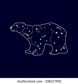 Big dipper. Polar bear. Vector.