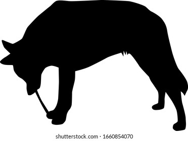 big dog bitting stick from the side silhouette vector isolated on white background