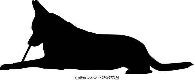 big dog lying and bitting stick from the side, silhouette vector isolated on white background