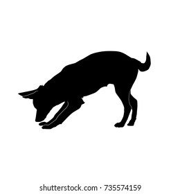 big dog sniffing to the ground and withering tail from the side silhouette vector isolated on white background