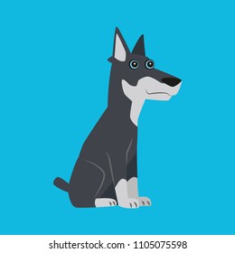 A big dog-mongrel on cyan background. Vector illustration in cartoon style.
