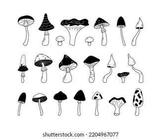 Big doodle collection of forest mushrooms. Hand drawn sketch linear vector illustration. Black fungus, line art forest plant isolated on white background. Edible and non-edible mushrooms