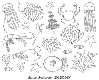 Big doodle sea elements set. Ocean, sea life animal and plant set. Vector underwater objects. Jellyfish, ball fish, reef fish, shrimp, crab, anglerfish, coral, seaweed, seagrass, starfish.