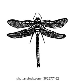 Dragonfly Illustration Engraving Drawing Ink Vector Stock Vector ...