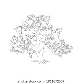 big drought tree, hand drawn. suitable for coloring books for children.