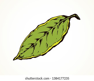 Big dry tree shape set on white sky backdrop. Bright lime color line hand drawn bio eco logo pictogram emblem design in art retro doodle contour comic style on space for text. Closeup macro view
