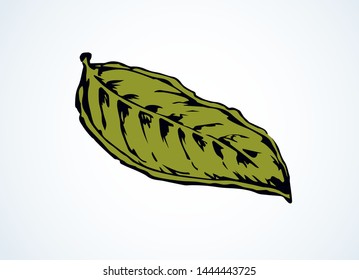 Big dry tree shape set on white sky backdrop. Bright lime color line hand drawn bio eco logo pictogram emblem design in art retro doodle contour comic style on space for text. Closeup macro view