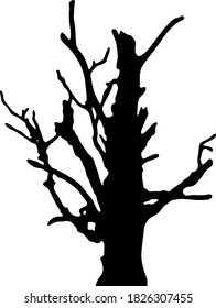 big and dry tree silhouette on a white background