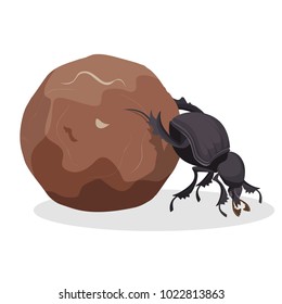 Big dung beetle that pushes big dirty ball