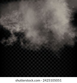 Big dust or smoke vector realistic cloud isolated on the semi transparent dark background.