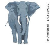 Big Elephant Animal Cartoon Character Template