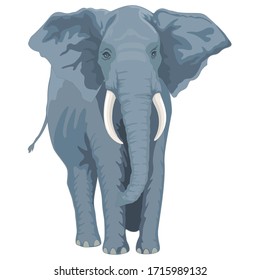 Big Elephant Animal Cartoon Character Template