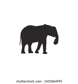 Big Elephant isolated on white background. Vector illustration, animal silhouette.