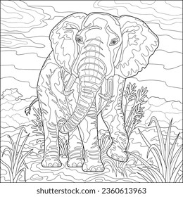 Big elephant on safari. Plants. Coloring book for adults, black and white vector illustration. Line art.