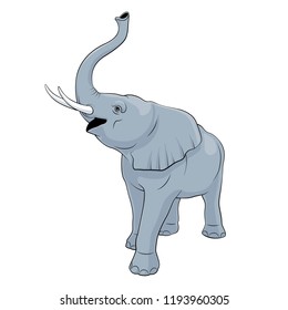 Big Elephant - vector illustration