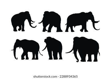 Big elephant walking silhouette collection on a white background. Huge elephant silhouette icon bundle. Wild animal silhouette set vector. Elephant with big tusks silhouette symbol vector.