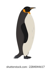 Big Emperor or King penguin, bird of Antarctica. Penguin icon isolated on white background. Flat or cartoon nature animal vector illustration.