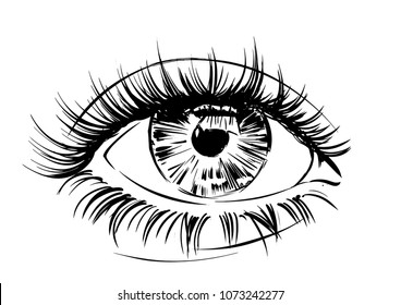 big eye illustration