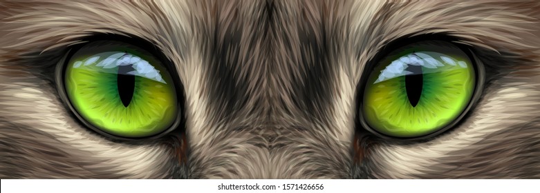 
Big eyes. Eyes of a domestic cat close-up.