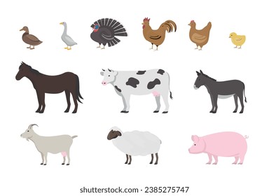 Big farm animals set. vector Flat illustration. farming, agricultural species. 12 design elements. 