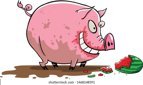 Big fat dirty pig rolling in mud and eating water melon