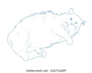 Big fat fluffy cat. Vector illustration