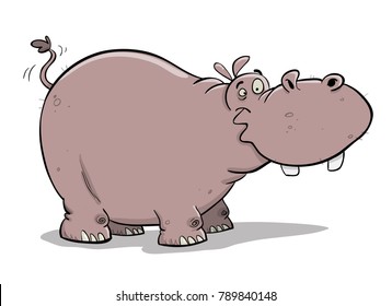 Big fat hippo