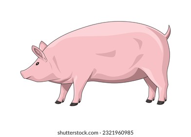 Big fat pig. Vector illustration, isolated on white background, side view, animal cartoon