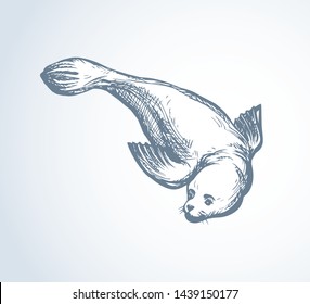 Big fat sealion creature on cold frozen winter backdrop. Dark grey outline ink hand drawn cute fun zoo circus pet logo pictogram emblem sketchy in retro art doodle etch style on paper space for text