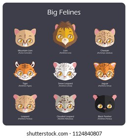 Big feline flat avatars with regular and scientific names