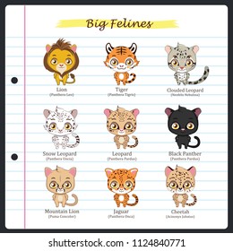 Big feline illustrations with regular and scientific names
