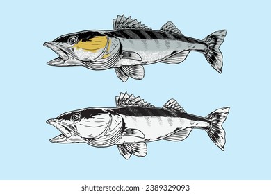 handgezeichnete große Fisch-Design-Illustration für Grafiktee und Aufkleber für Fischer