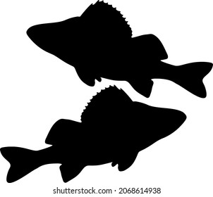 Big fish perches. Vector image.